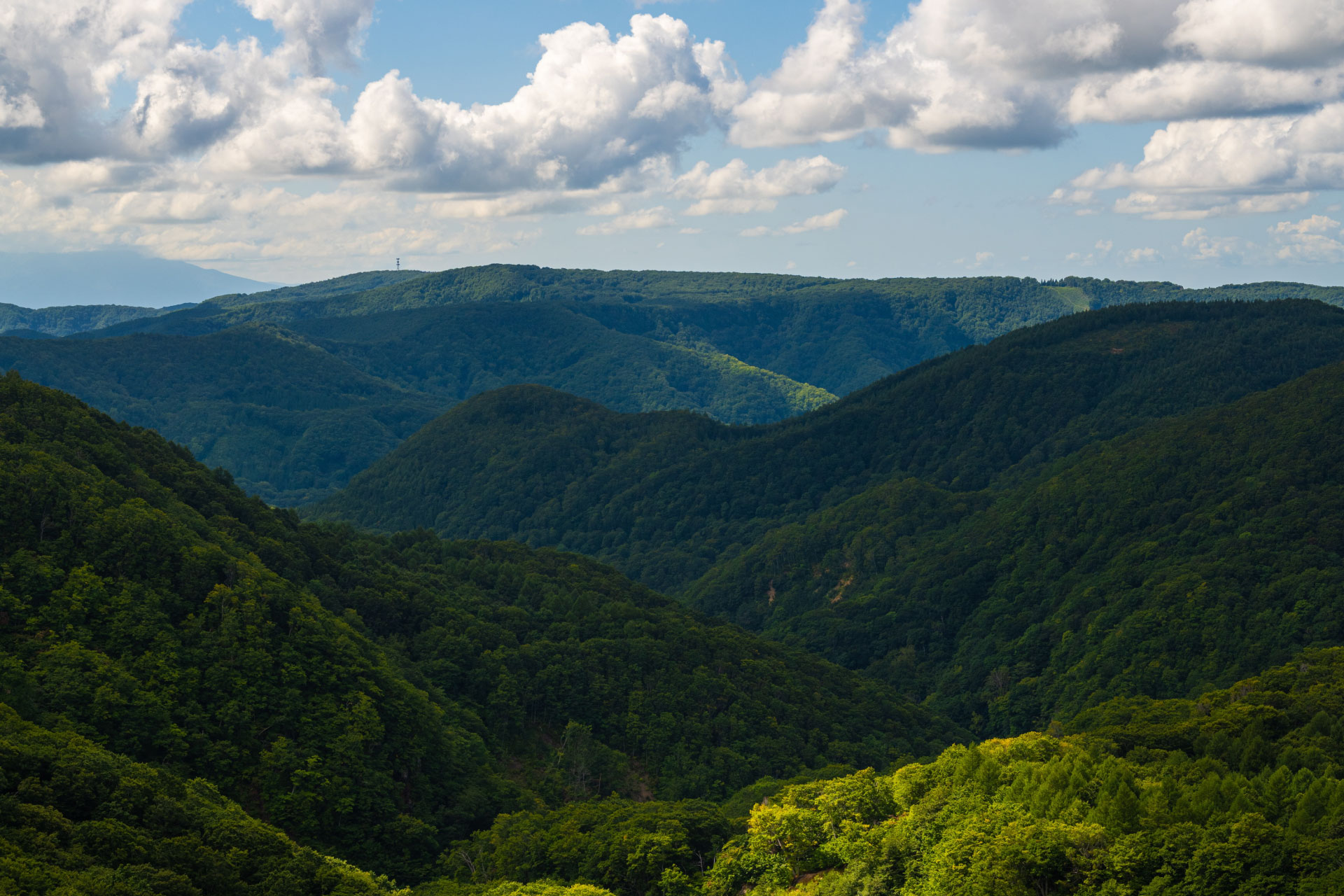大自然 世界遺産・白神山地